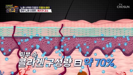 피부 노화의 시작인 콜라겐 감소 전신에 영향을 끼친다?! TV CHOSUN 221011 방송