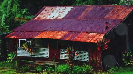 RELAX VIDEO for good sleep rain music 40 min |relax music |meditation