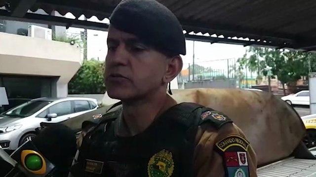 Polícia Militar dá detalhes sobre grande apreensão de cigarros contrabandeados