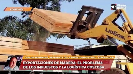 Exportaciones de madera el problema de los impuestos y la logística costosa