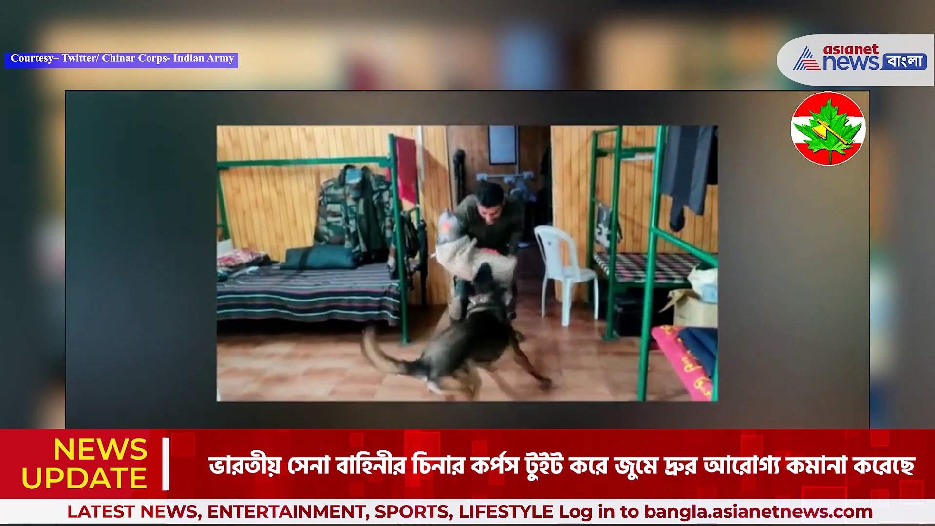  জঙ্গিদের গুলিতে গুরুতর আহত 'জুম', জানুন ভারতীয় সেনা বাহিনীর এই সারমেয়-র কথা 