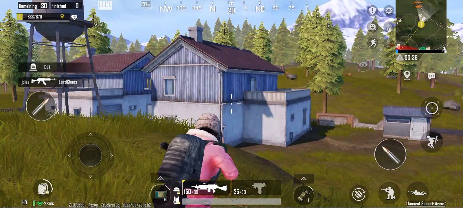 pubg player's 2
