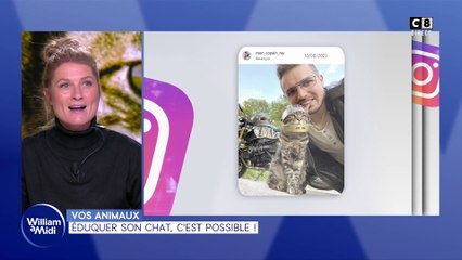 Vos animaux : Éduquer son chat, c'est possible !