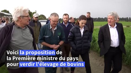 La Nouvelle-Zélande veut taxer les pets de vaches