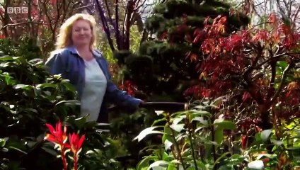 Garden Rescue - Se4 - Ep06 - Southsea HD Watch HD Deutsch