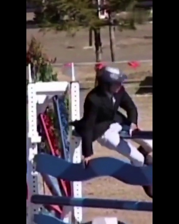 Funny Animal Videos 2022 |  Funniest animals moves | Best funny animal clips 2022 | Funniest 