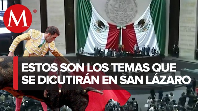 Diputados discutirán este martes prohibición de corridas de toros