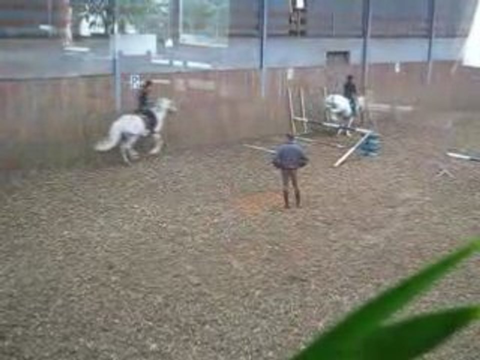 seance de saut avec grisou