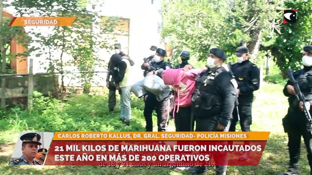 21 mil kilos de marihuana fueron incautados este año en más de 200 operativos
