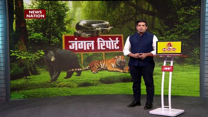 Maharashtra Breaking : Chandrapur में अर्थ कंजर्वेशन संस्था ने किया अजगर का रेस्क्यू |