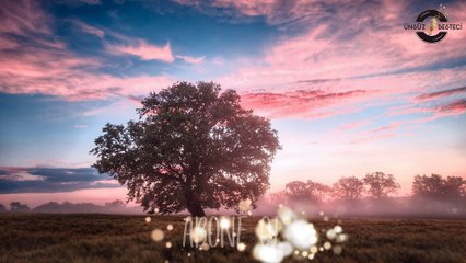 Relaxing Music | Polyushka Polye | Clarinet Instrumental Music