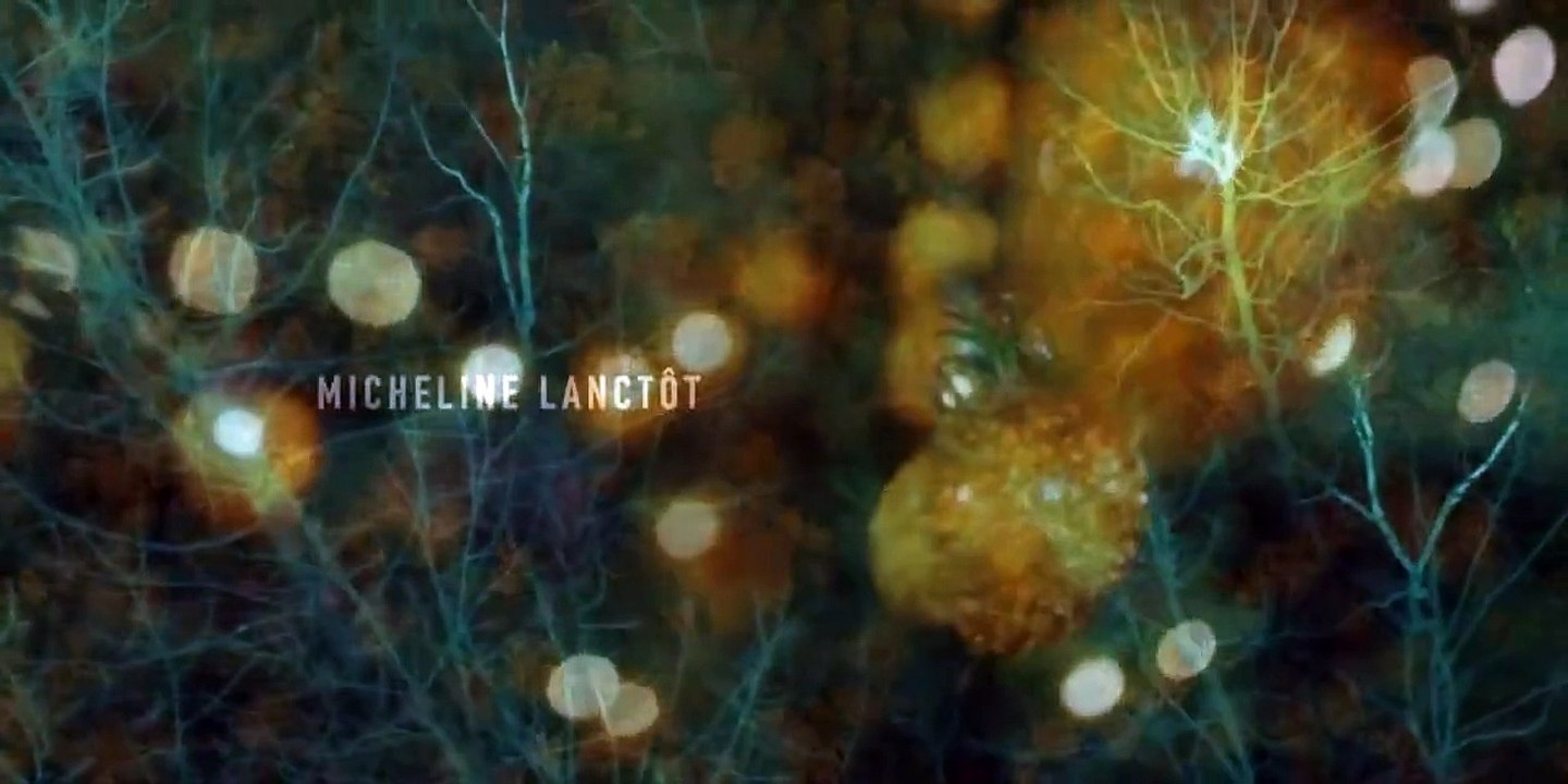 The Disappearance - Se1 - Ep04 - Treasure Hunt HD Watch HD Deutsch