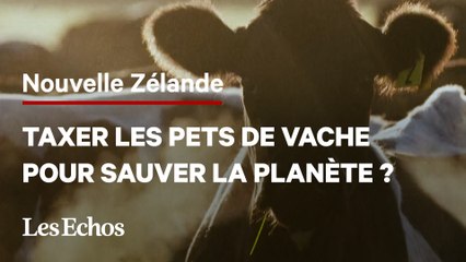 La Nouvelle-Zélande veut taxer les pets de vaches