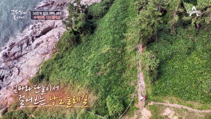 자연 소리 가득한 둘레길 걷는 모자(母子) 두심과 정환… 낭도 최고의 절경, 신선대에 닿다