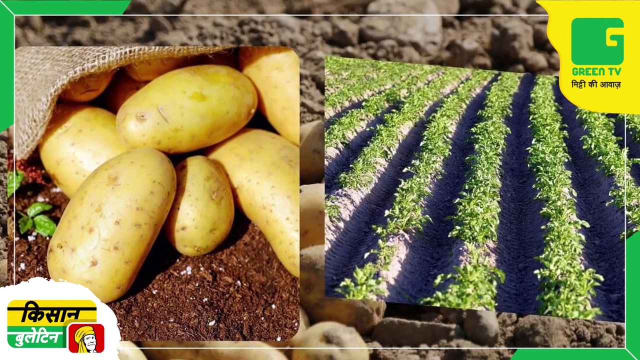 Kisan Bulletin 11 October 2022 - Farmers will get subsidy of 5 thousand rupees on buying fertilizers - Watch The Video TO Know About The scheme