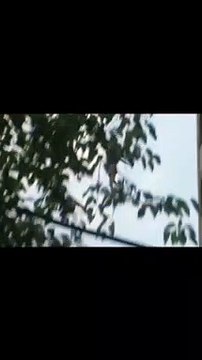 Weak hearted person please don't watch this