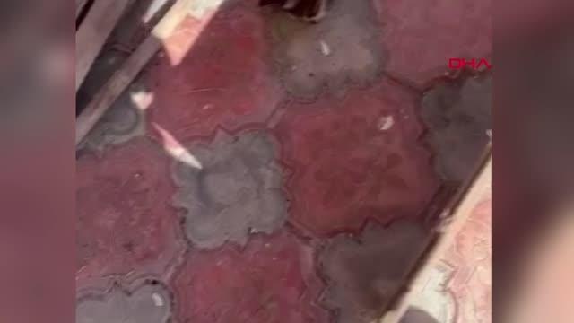 MERSİN'DE KÖPEK VE KEDİLERİN ZEHİRLENDİĞİ İDDİASINA İNCELEME