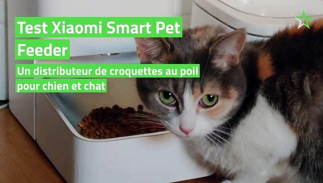 Test Xiaomi Smart Pet Feeder : un distributeur de croquettes au poil pour chien et chat