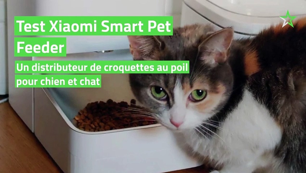 Test Xiaomi Smart Pet Feeder : un distributeur de croquettes au poil pour chien et chat