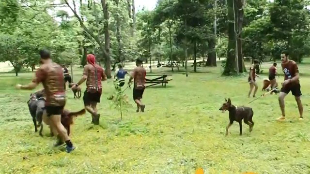 bd-correr-con-perros-por-montaña-111022