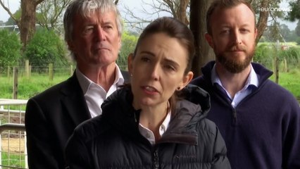 Neuseeland: "Furz"-Steuer auf Schaf und Kuh