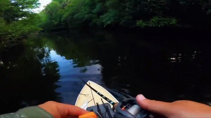 6 Pertemuan Dengan Buaya Yang Seharusnya Kalian Tidak Tonton (Bagian 3)