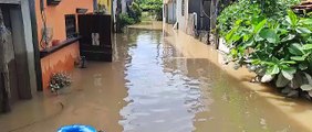 Video| Inundaciones en Izabal, después del paso de Julia