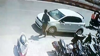 Bag stolen from car, incident seen in CCTV
