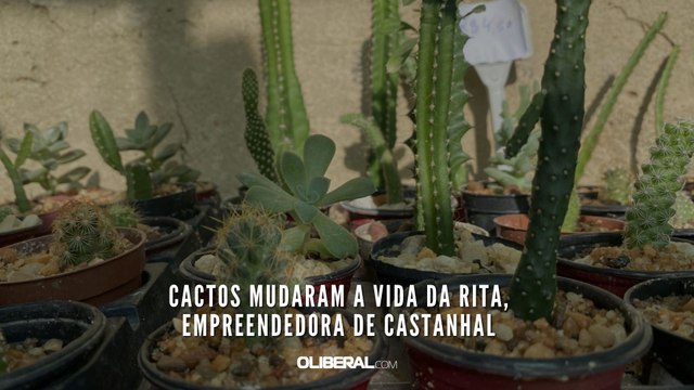 Cactos mudaram a vida da Rita, empreendedora de Castanhal