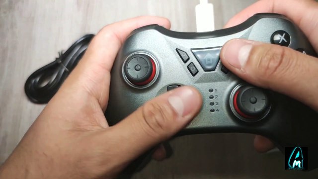 TSW05 Wireless Nintendo Switch (Controller)