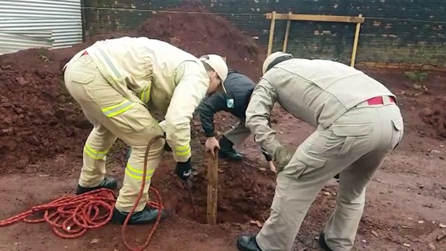 Bombeiros são acionados para resgatar cachorro que caiu em buraco