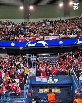 Adeptos Benfica em Paris