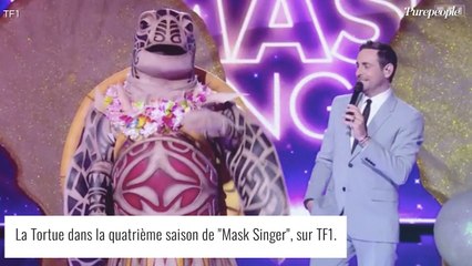 Mask Singer 4 - La Tortue sacrée : elle aura perdu les enquêteurs jusqu'au bout !