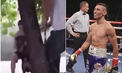 Heroic moment Nicaraguan boxer risks his life to save puppy from being swept away by Hurricane Julia's raging flood waters