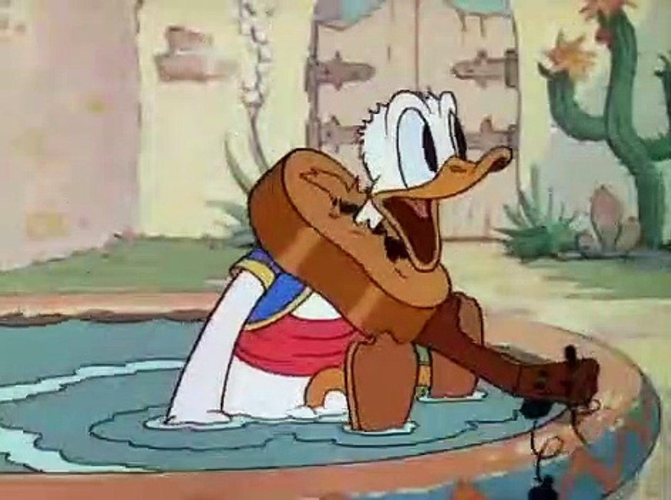 Paja Patak - Don Paja