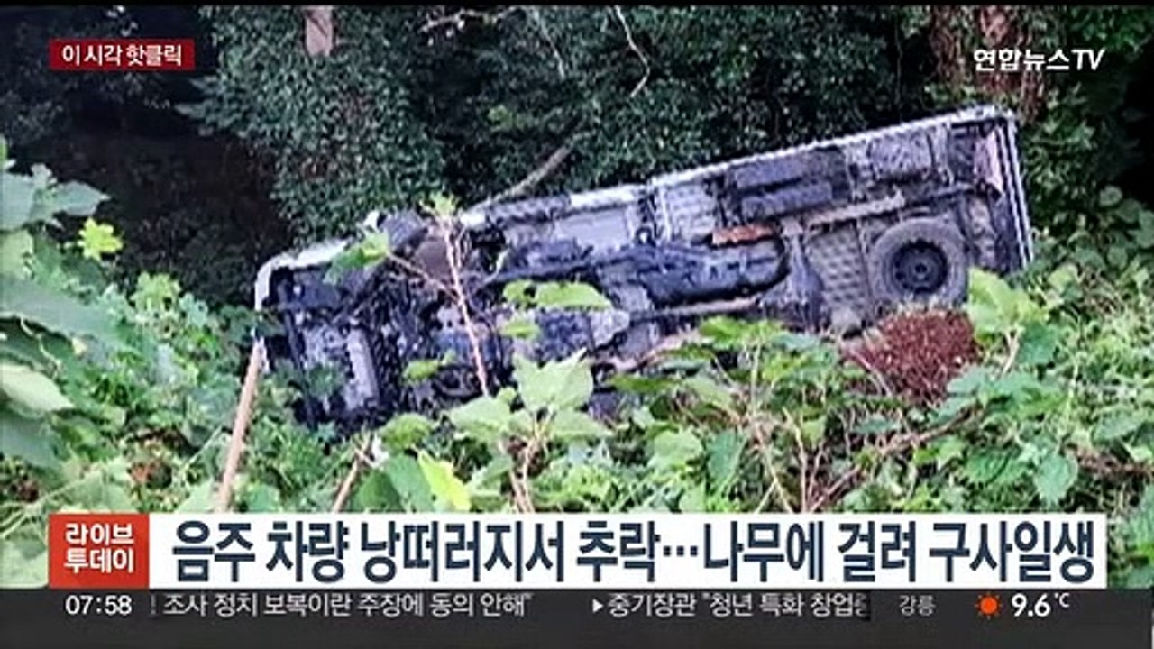 [핫클릭] 음주 차량 낭떠러지서 추락…나무에 걸려 구사일생 外