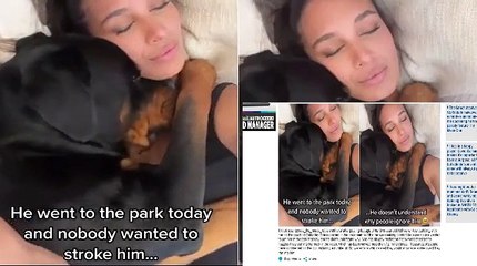'He doesn't understand why people ignore him': Heart-wrenching video of a dejected Rottweiler cuddling his mom for comfort because no one pet him at the park goes viral