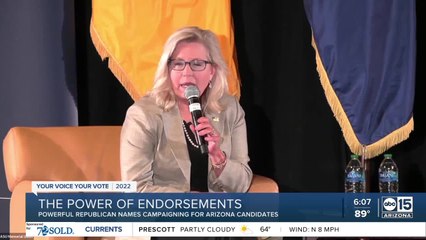 Do surrogates help a campaign? Their answer may depend on the campaign