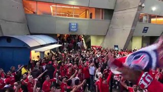 Vídeo dos adeptos do Benfica em França está a correr o mundo