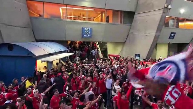 Vídeo dos adeptos do Benfica em França está a correr o mundo