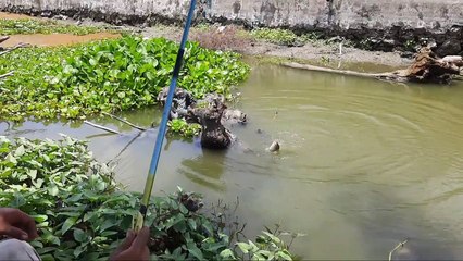 MENGEJUTKAN‼️ NEKAT Mancing dibawah ancaman BADAI hasilnya luar biasa