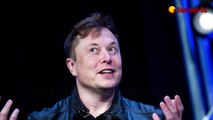 Elon Musk: Er hat immer noch nicht genügend Nachkommen