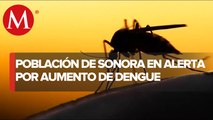 Preocupa aumento de casos de Dengue en Sonora; hay hospitales saturados