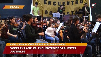 Voces en la Selva Encuentro de Orquestas Juveniles