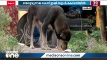 തെരുവ് നായ കേസ് സുപ്രീംകോടതിയിൽ:  ഇടക്കാല ഉത്തരവിന് സാധ്യത