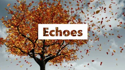Echoes ~ James Harris 