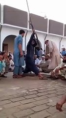 MOST AMAZING ARCHER ING Skills- Awesome short