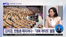 ‘이재명 대북 코인’ 의혹…김의겸 의도 or 실수?