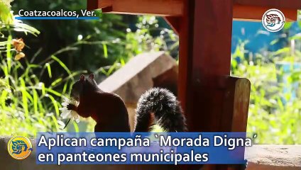 Aplican campaña ´Morada Digna´ en panteones municipales