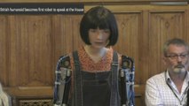 British humanoid Ai-Da 'falls asleep' while talking to House of Lords